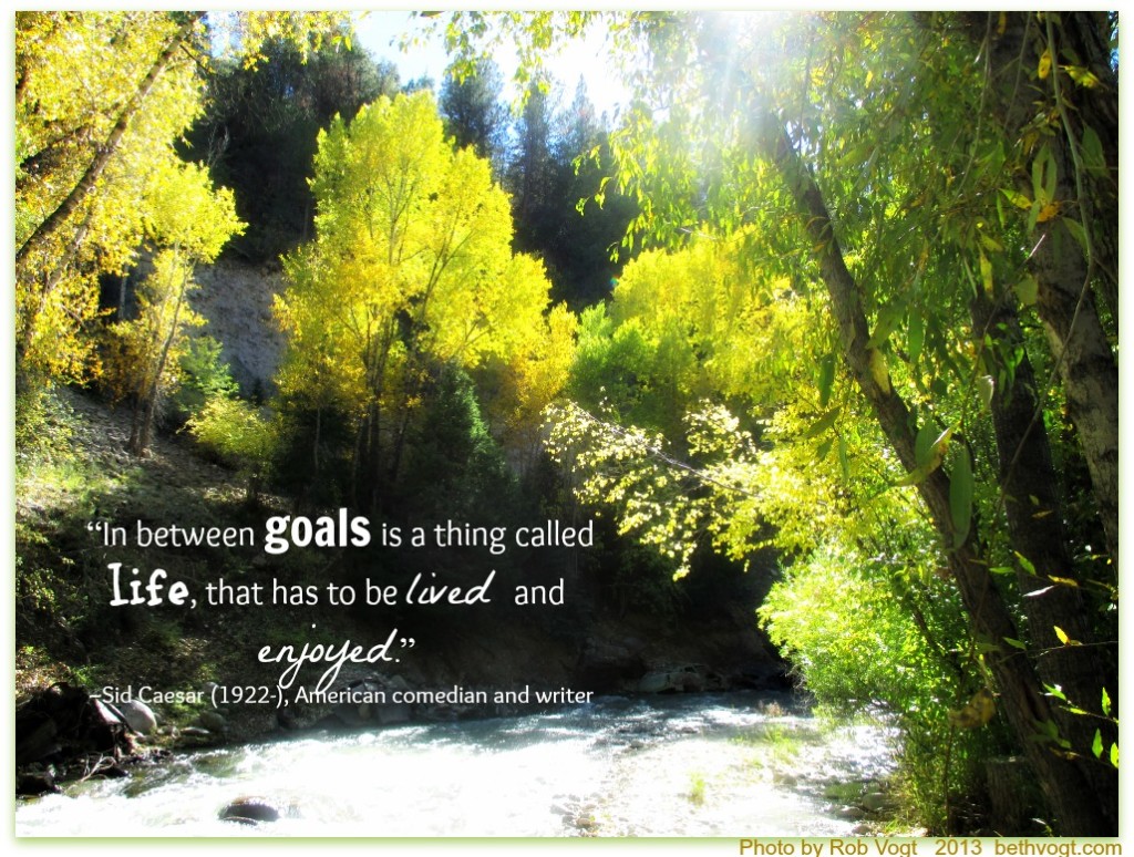 goals and life quote sid caesar 10.11.13