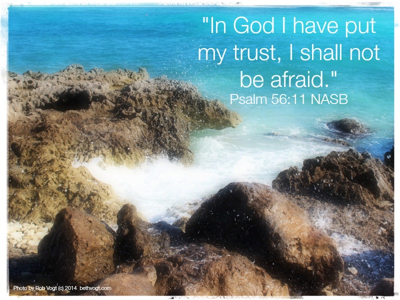 Psalm 56 11 NASB