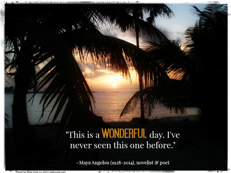Wonderful Day Maya Angelou 2014