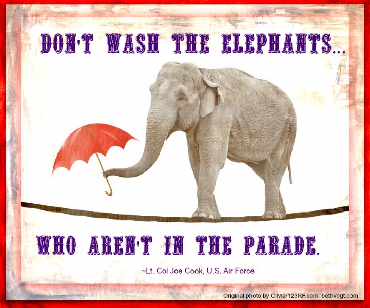 Parade Elephants