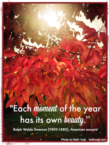 Each moment beauty. Emerson. 2014