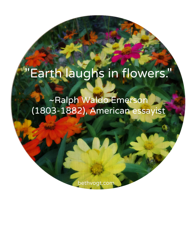 Earth laughs in flowers 2016